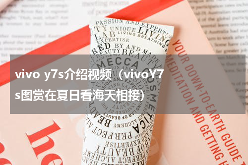 vivo y7s介绍视频（vivoY7s图赏在夏日看海天相接）