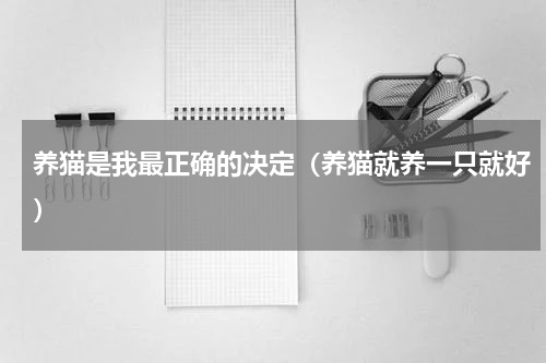 养猫是我最正确的决定（养猫就养一只就好）