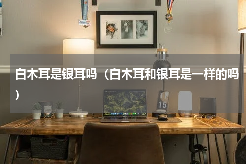 白木耳是银耳吗（白木耳和银耳是一样的吗）