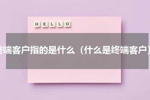 终端客户指的是什么（什么是终端客户）