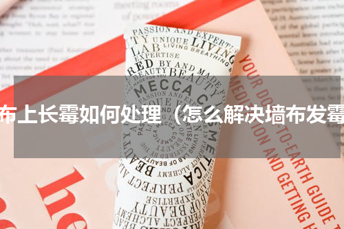 墙布上长霉如何处理（怎么解决墙布发霉）