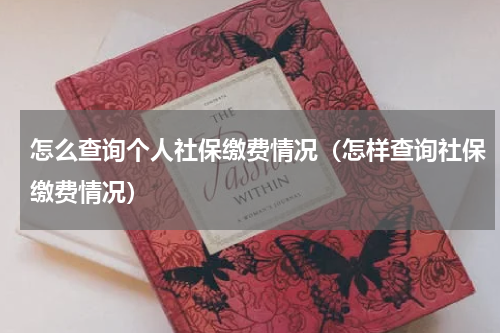 怎么查询个人社保缴费情况（怎样查询社保缴费情况）