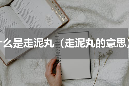 什么是走泥丸（走泥丸的意思）