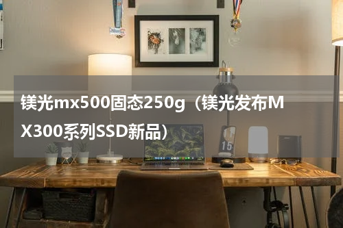 镁光mx500固态250g（镁光发布MX300系列SSD新品）