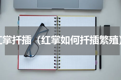 红掌扦插（红掌如何扦插繁殖）