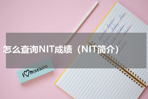 怎么查询NIT成绩（NIT简介）