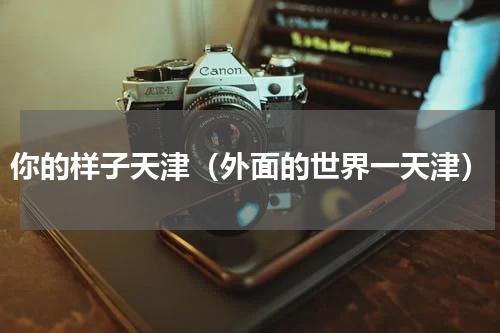 你的样子天津（外面的世界一天津）
