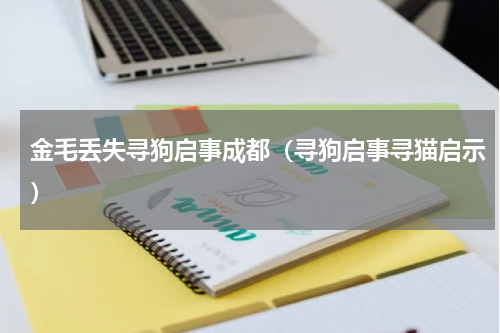金毛丢失寻狗启事成都（寻狗启事寻猫启示）