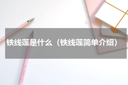 铁线莲是什么（铁线莲简单介绍）