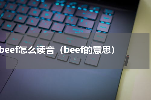 beef怎么读音（beef的意思）