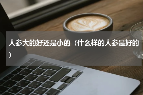 人参大的好还是小的（什么样的人参是好的）