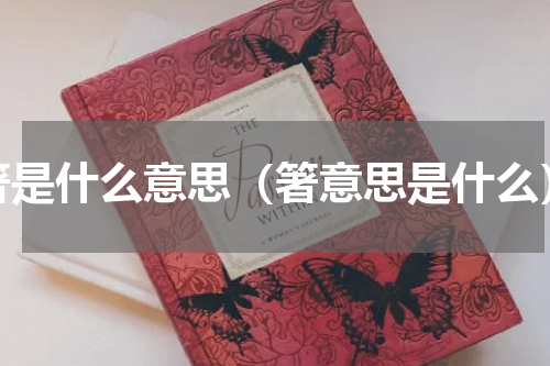 箸是什么意思（箸意思是什么）