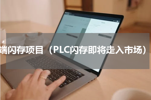 高端闪存项目（PLC闪存即将走入市场）