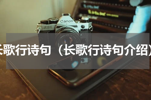 长歌行诗句（长歌行诗句介绍）
