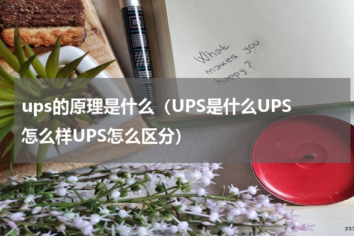 ups的原理是什么（UPS是什么UPS怎么样UPS怎么区分）