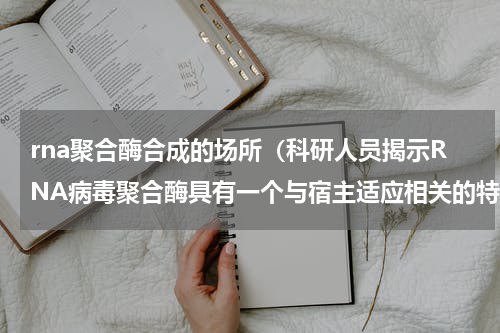 rna聚合酶合成的场所（科研人员揭示RNA病毒聚合酶具有一个与宿主适应相关的特征区域）