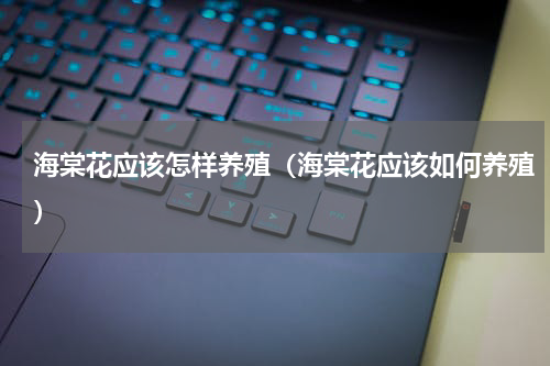 海棠花应该怎样养殖（海棠花应该如何养殖）
