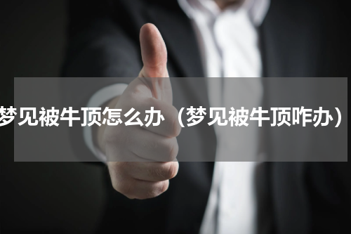 梦见被牛顶怎么办（梦见被牛顶咋办）