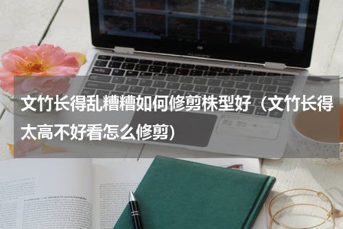 文竹长得乱糟糟如何修剪株型好（文竹长得太高不好看怎么修剪）