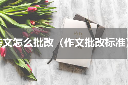 作文怎么批改（作文批改标准）