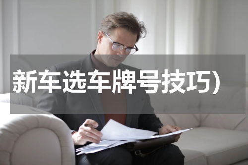 新车选车牌号技巧）