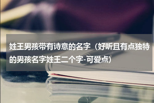 姓王男孩带有诗意的名字（好听且有点独特的男孩名字姓王二个字-可爱点）