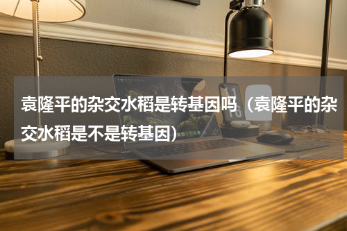 袁隆平的杂交水稻是转基因吗（袁隆平的杂交水稻是不是转基因）