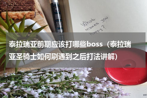 泰拉瑞亚前期应该打哪些boss（泰拉瑞亚圣骑士如何刷遇到之后打法讲解）