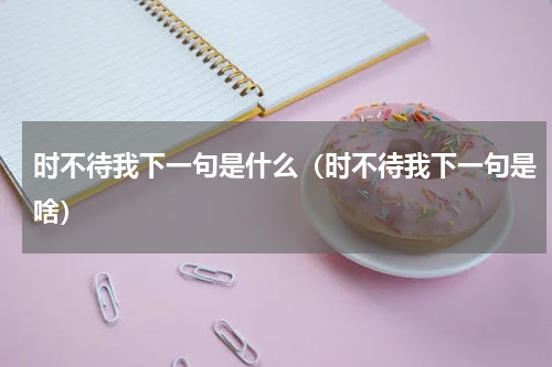 时不待我下一句是什么（时不待我下一句是啥）