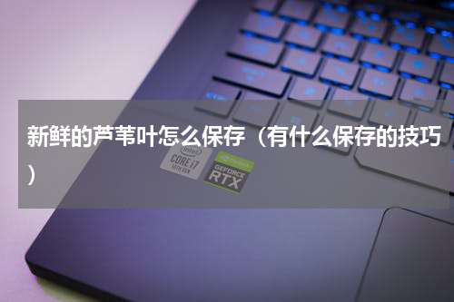 新鲜的芦苇叶怎么保存（有什么保存的技巧）