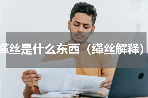 缂丝是什么东西（缂丝解释）