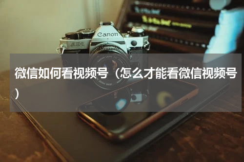 微信如何看视频号（怎么才能看微信视频号）