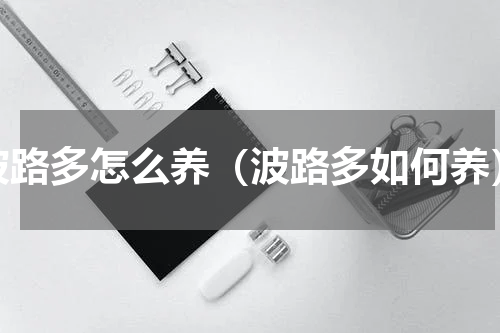 波路多怎么养（波路多如何养）