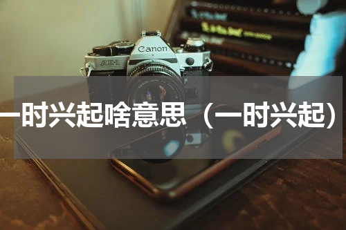 一时兴起啥意思（一时兴起）