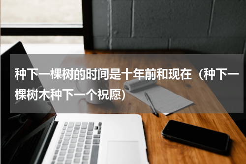种下一棵树的时间是十年前和现在（种下一棵树木种下一个祝愿）