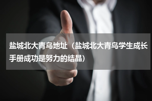 盐城北大青鸟地址（盐城北大青鸟学生成长手册成功是努力的结晶）