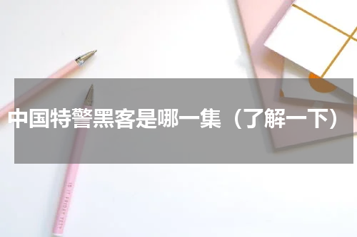 中国特警黑客是哪一集（了解一下）