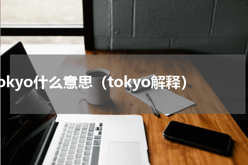 tokyo什么意思（tokyo解释）