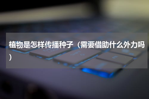 植物是怎样传播种子（需要借助什么外力吗）