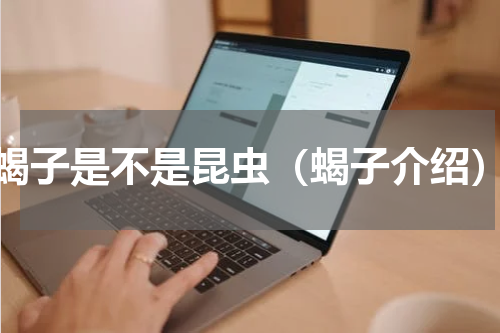 蝎子是不是昆虫（蝎子介绍）