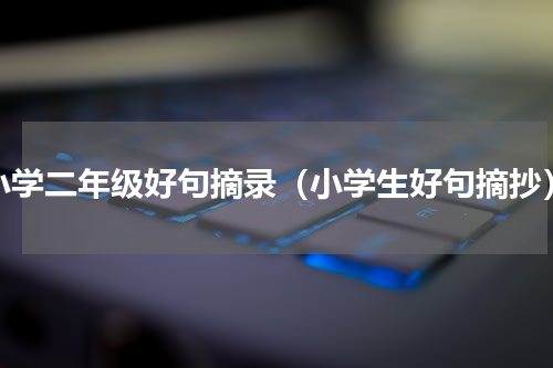 小学二年级好句摘录（小学生好句摘抄）