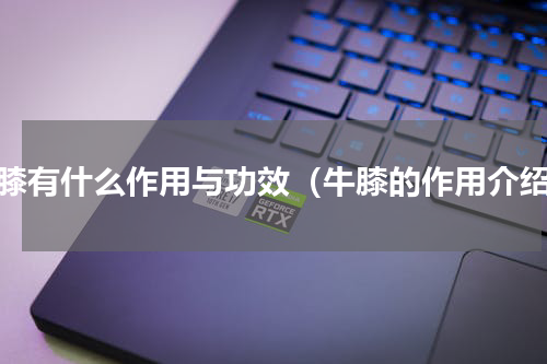 牛膝有什么作用与功效（牛膝的作用介绍）