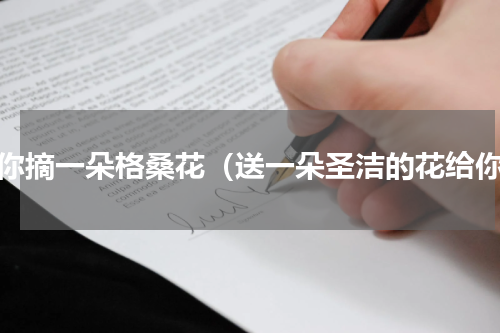 为你摘一朵格桑花（送一朵圣洁的花给你）