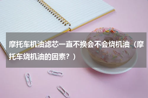 摩托车机油滤芯一直不换会不会烧机油（摩托车烧机油的因素？）