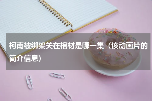 柯南被绑架关在棺材是哪一集（该动画片的简介信息）