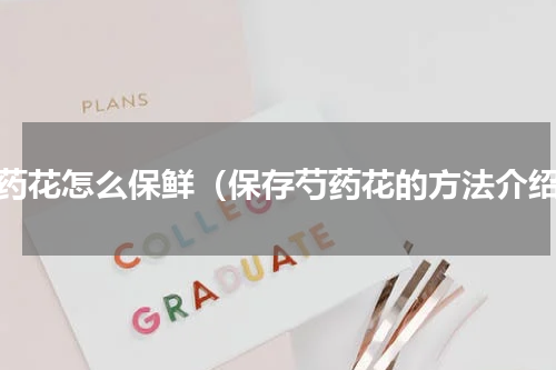 芍药花怎么保鲜（保存芍药花的方法介绍）