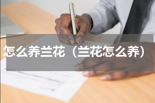 怎么养兰花（兰花怎么养）