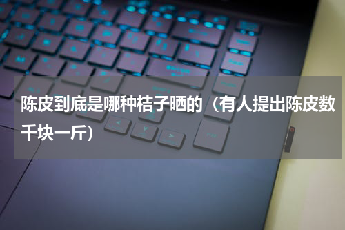 陈皮到底是哪种桔子晒的（有人提出陈皮数千块一斤）