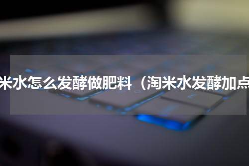 淘米水怎么发酵做肥料（淘米水发酵加点）
