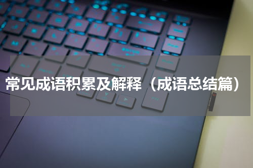 常见成语积累及解释（成语总结篇）